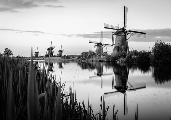 Gastköche im November - Best of Niederlande